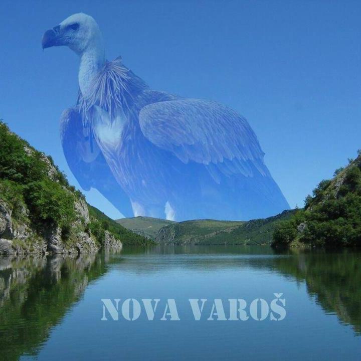 Vila Jelena Zlatar Nova Varos Brdo Екстер'єр фото